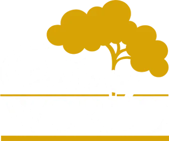 cadbury world chocolate pumpkin patch