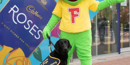 Guide Dog